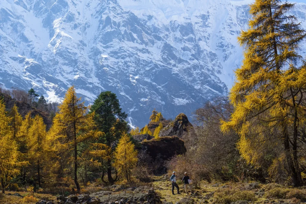Malowniczy widok na pasmo górskie Manaslu i kolorowe liście w Nepalu podczas wędrówki po obwodzie Manaslu.